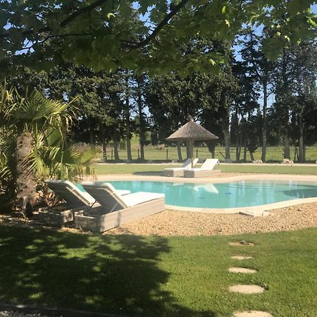 Bed and Breakfast Mas Des Limites Rognonas Zewnętrze zdjęcie