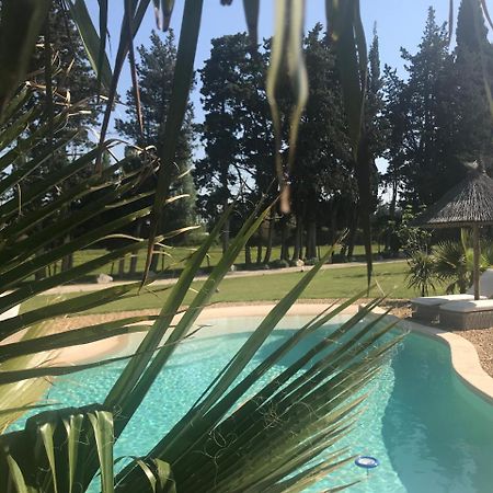 Bed and Breakfast Mas Des Limites Rognonas Zewnętrze zdjęcie